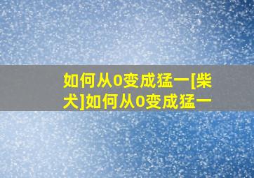 如何从0变成猛一[柴犬]如何从0变成猛一